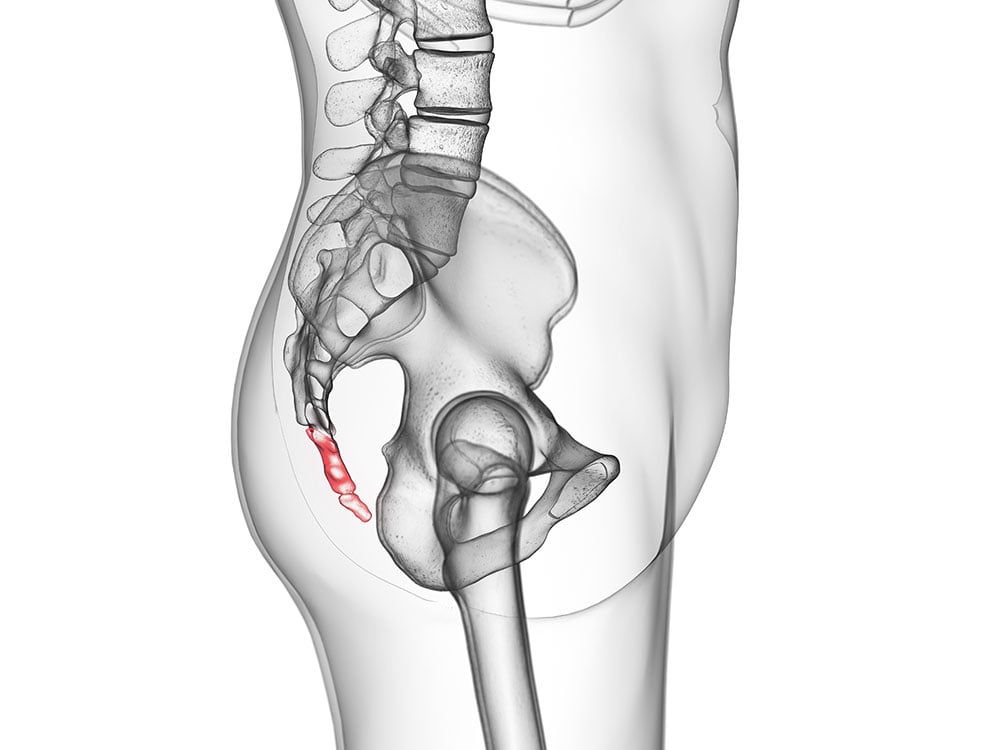 Coccyx: What Is It, Function, Injuries, and More