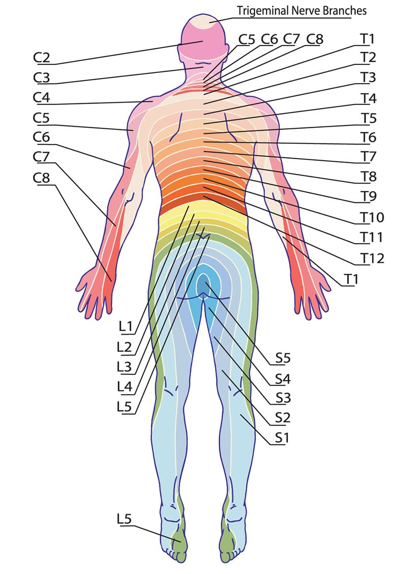 doral-root-ganglion-stimulation