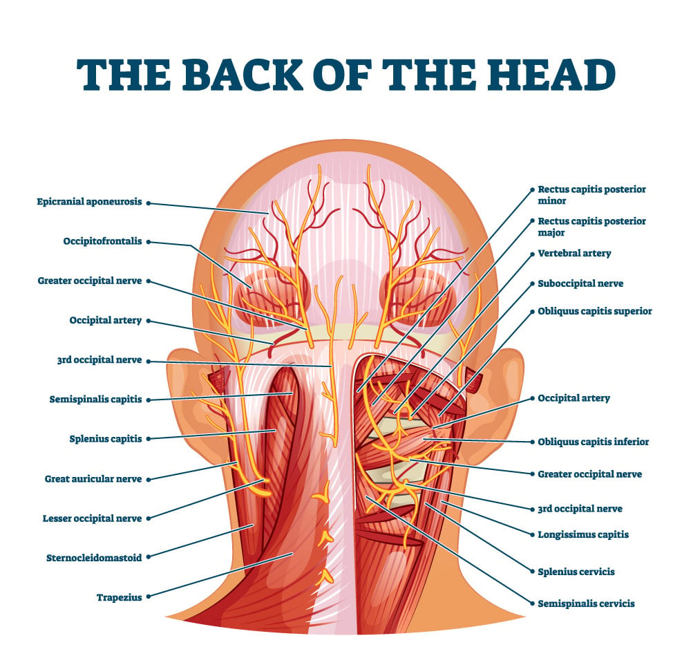 occipital-nerve-block-and-rfa